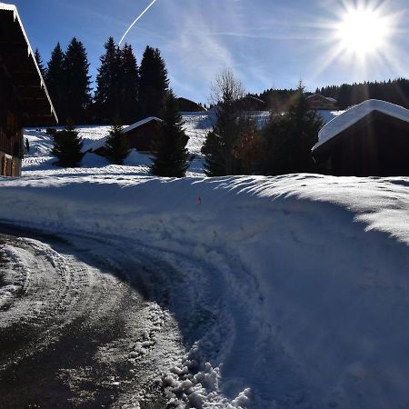 Apartment In Northern Alps With Skiing Nearby Les Gets Exterior foto